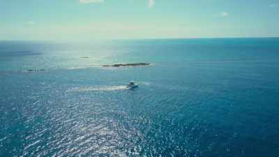 When I heard these creatures
were spotted in this area, - Sharkwater Extinction