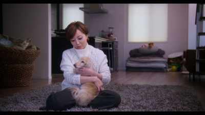 When I met D.J., - Dogs