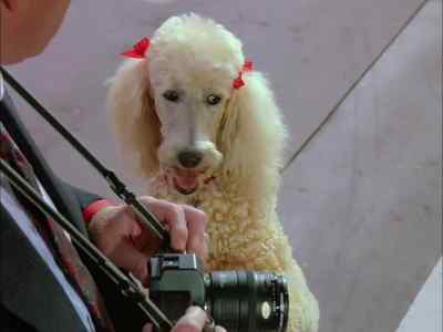 When I need a helper, Curly,
I'll let you know. - Murder, She Wrote