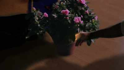 When I said "mild fear," - Charmed