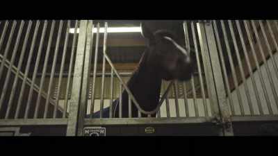 When I sat on
Kameko for the first time - Horsepower