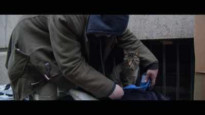 When I saw he's alive, - Cat Daddies