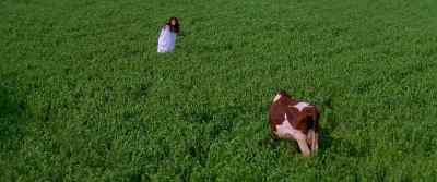 "When I saw you I knew, my beloved" - Dilwale Dulhania Le Jayenge