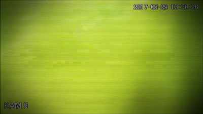 WHEN I SEE THIS, THE
FIRST THING THAT I THINK IS - Strange Evidence