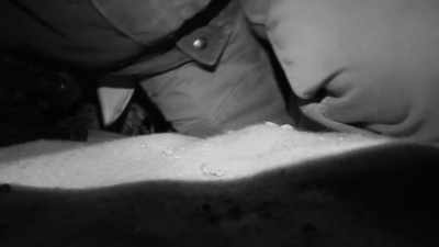   When I set up this blind, - Expedition Bigfoot