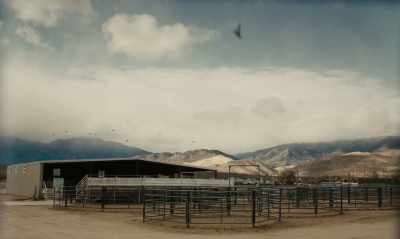 When I was six, - The Mustang