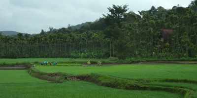 When I started organic farming, - Omnivore