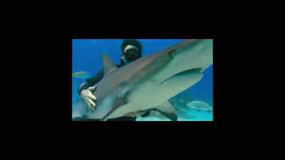 When I started out,
I wanted to bring people closer to sharks - Sharkwater Extinction