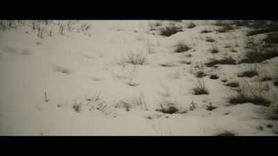 When I started
walking, I smelled... - Murder in Big Horn