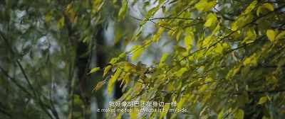 When I talk to the doll, - Monster Hunt 2