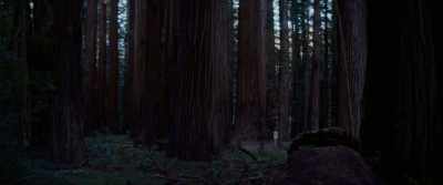 When I turned around, you were gone. - Woodshock
