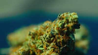 When I wake up, my brain is going like, - Wake & Bake with Dom Brown