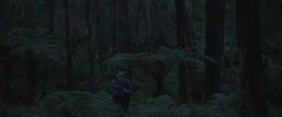 -When I went back to the path
in the morning - Force of Nature: The Dry 2