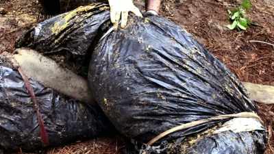 When we identified that
that was Raul, - Floribama Murders