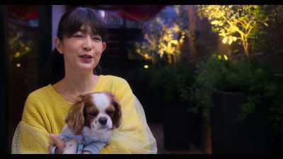 When I'm sad or angry or suffering, - Dogs