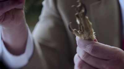 WHEN IT GRIPS, IT'S
GRIPPING AT ABOUT 280 POUNDS - An American Murder Mystery: The Staircase