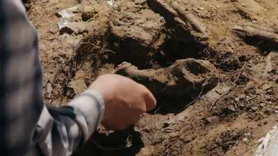 WHEN IT'S READY,
IT'LL LET YOU KNOW, - Dino Hunters