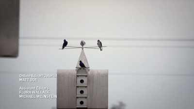 When they leave,
there will be a real emptiness feeling, - United States of Animals
