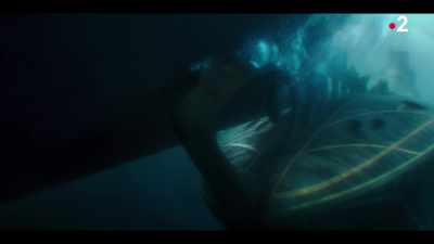 When we left Kalpani,
he rammed a ship. - Nautilus