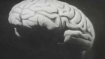 When you let your mind wander,
you switch back and forth all the time, - The Mind, Explained