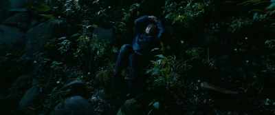 When you lie down and look up,
the sky is filled with stars. - The Fable