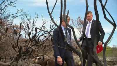 When you look at an
investigation like this, - Never Let Him Go