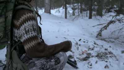 When they look like they'’ve
been exploded like this, - Life Below Zero: Next Generation