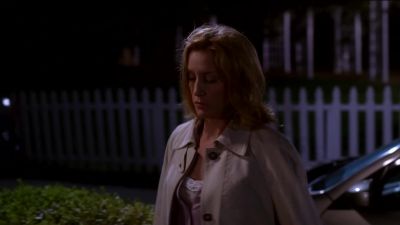 WHEN LYNETTE WENT BACK TO WORK, - Desperate Housewives
