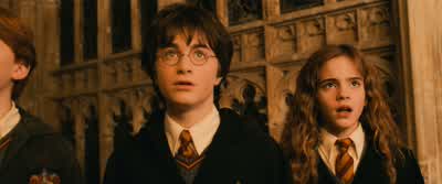 When matured, a potion will be madewhich will revive Mrs. - Harry Potter and the Chamber of Secrets