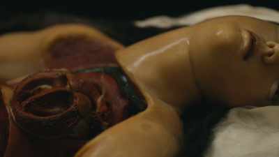 When it opened its dull
yellow eyes and stared at you, - Almost Human