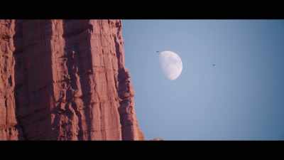 When we opened it,
I thought about, - Fly