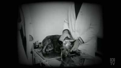 When he operated on a deaf dog,
the newspapers took note. - Aussie Inventions That Changed The World