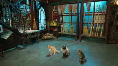 When our hiding's said and done
Return the forms that we came from - Scaredy Cats