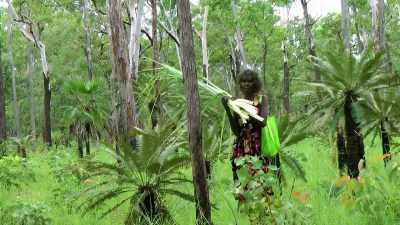 When our parents or relations
or relative die, in the tribe, - My Name Is Gulpilil