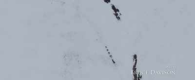  When outsiders
 came to this place, - The Great Alaskan Race