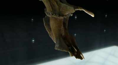 When you pass a current
through that solution, - Strangest Things