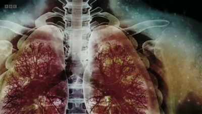When pathogens land on the lung
lining, their presence attracts - The Human Body: Secrets of Your Life Revealed