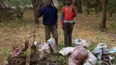 When people are eating wild
animals, it might be illegal, - The Woman Who Loves Giraffes
