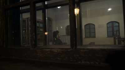 When this possibility came up
that I could accompany - The Commandant's Shadow