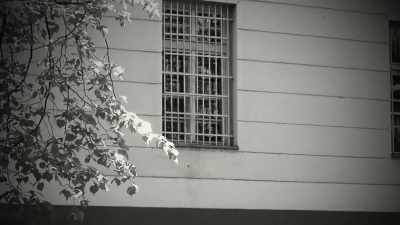 When psychiatric treatment
failed to help him, - The Way of the Psychonaut
