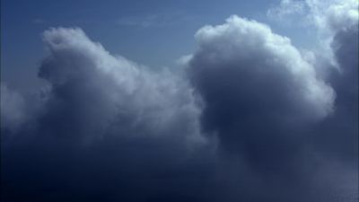 When we put carbon dioxide into the atmosphere - Racing Extinction
