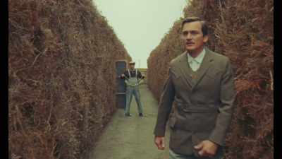 When they reached the railway line,
there were 14 small birds - The Swan