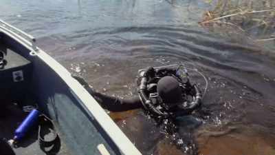When Roger's in the water, - In the Footsteps of Elephant