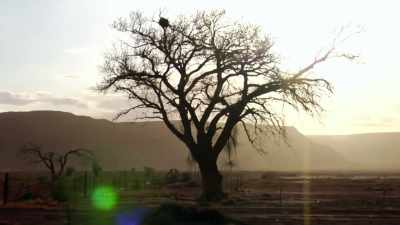When they rounded up
the tribes in this country - The Magic Pill