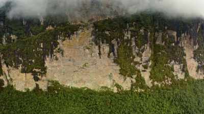 When we saw the features
that we were trying to recognize, - Explorer: The Last Tepui