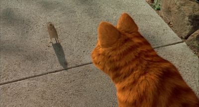 When he sees you he expects more from me Get that - Garfield