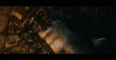 When sire moves us
to the new world, - Guardians of the Galaxy Vol. 3