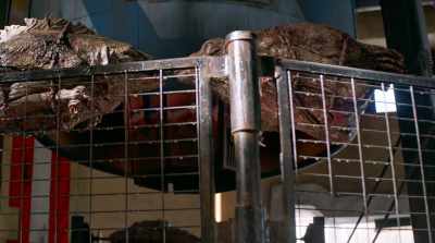 when you smell that grilled meat, - Star Wars: Galaxy's Edge - Adventure Awaits