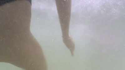 When they start panicking, - Playing with Sharks