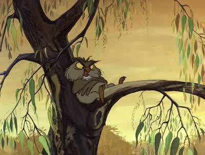 When he stays out all night he's always grumpy the next morningHe must stay out every night Yes yes - The Sword in the Stone